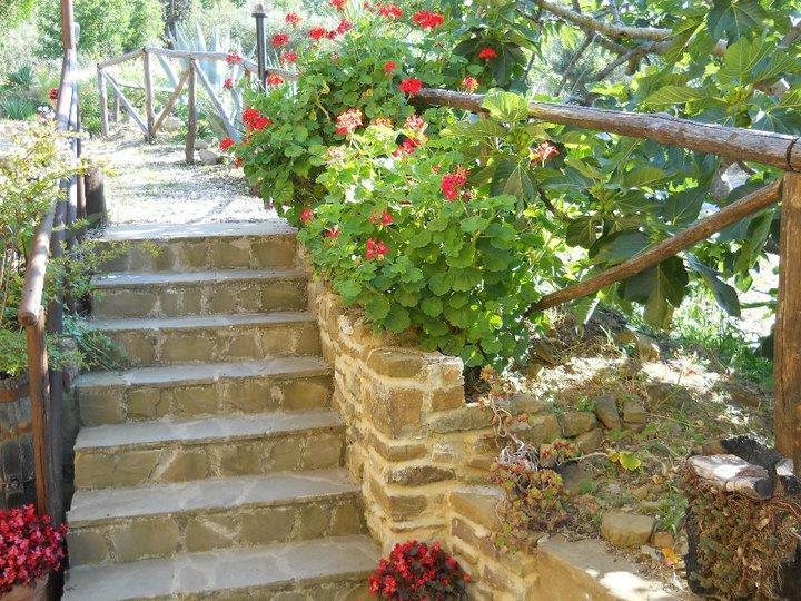 Casale San Martino Bed & Breakfast Laureana Cilento Exterior foto