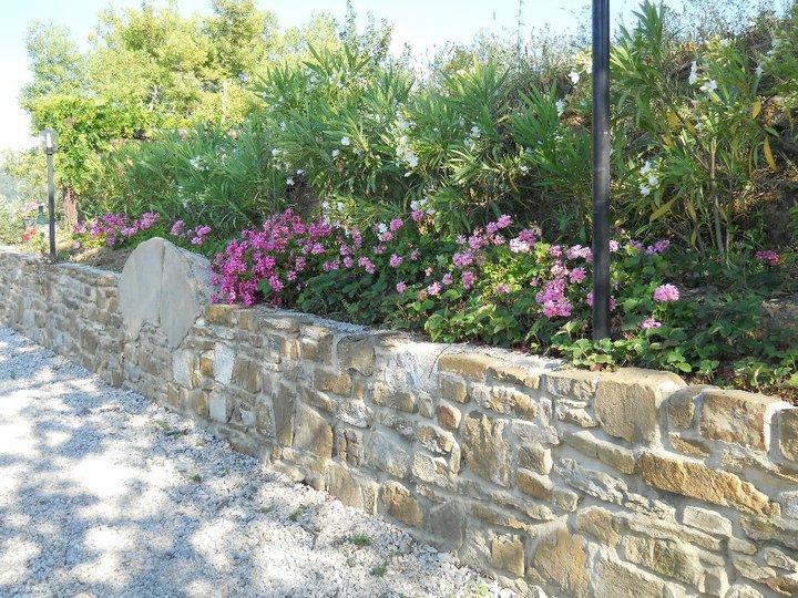 Casale San Martino Bed & Breakfast Laureana Cilento Exterior foto