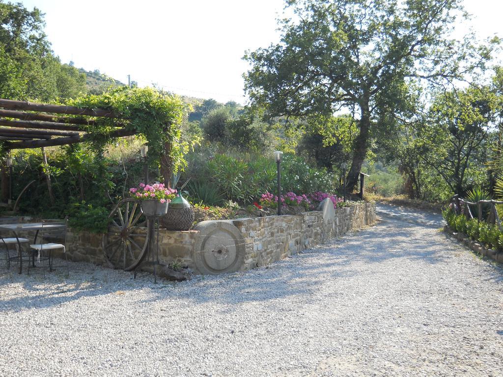 Casale San Martino Bed & Breakfast Laureana Cilento Exterior foto