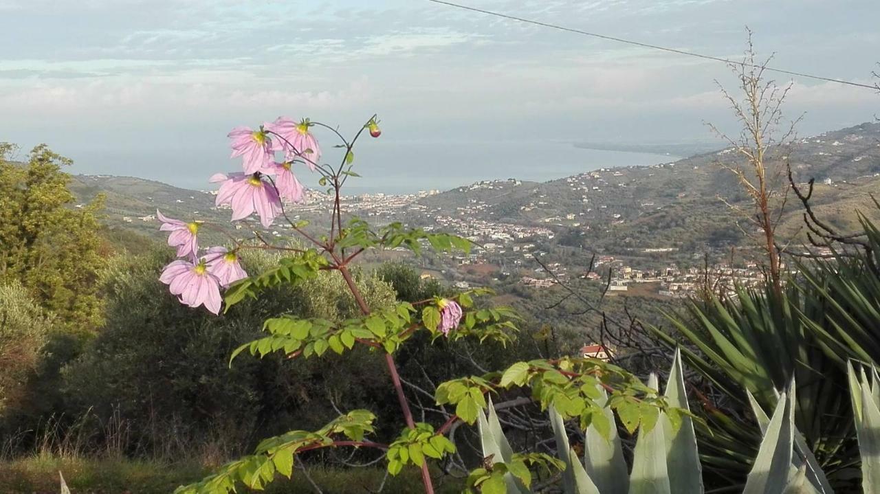 Casale San Martino Bed & Breakfast Laureana Cilento Exterior foto