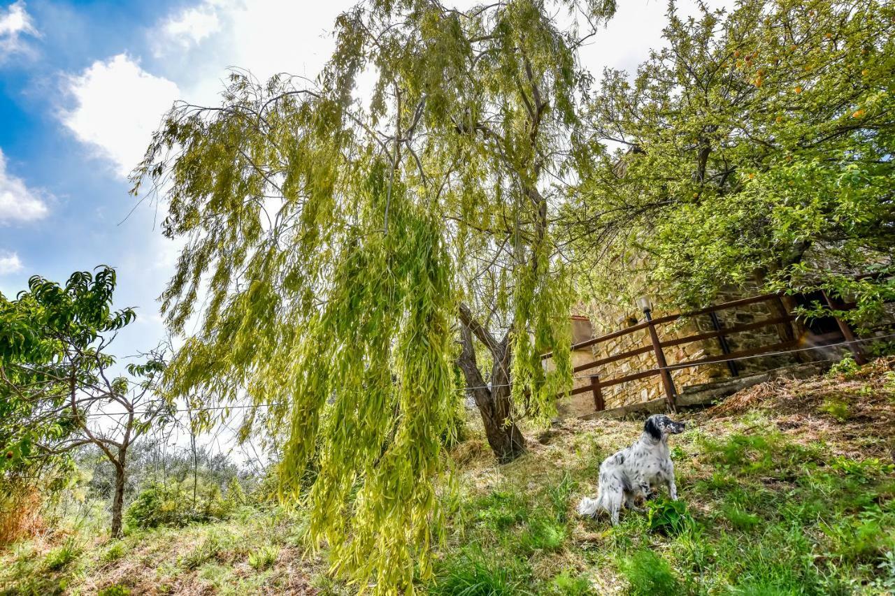 Casale San Martino Bed & Breakfast Laureana Cilento Exterior foto